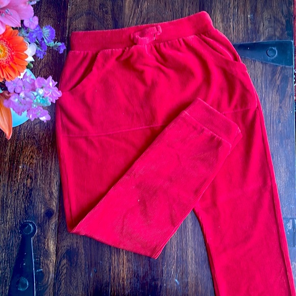 LC WAIKIKI RED CORDUROY HAREM PANTS - Picture 2 of 5